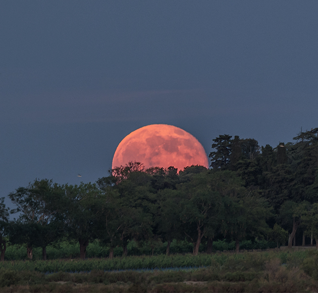 pleine lune